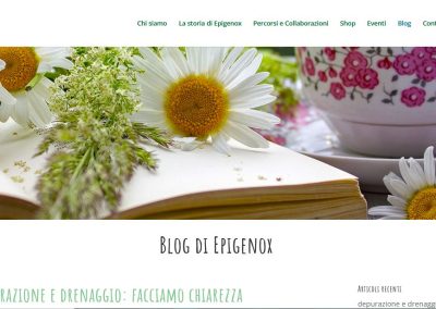 Sito web Epigenox